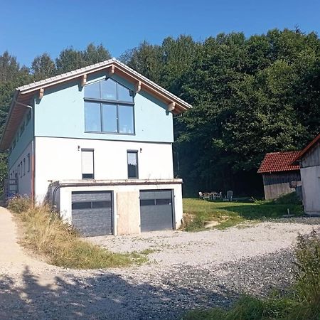 Fewo Wiesenblick Waldmünchen Εξωτερικό φωτογραφία