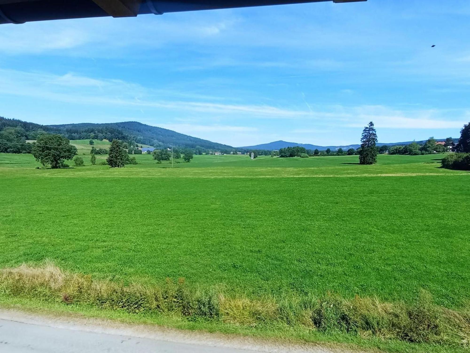 Fewo Wiesenblick Waldmünchen Εξωτερικό φωτογραφία